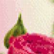Предпросмотр схемы вышивки «розы и бабочки» (№638039)