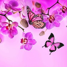 Оригинал схемы вышивки «бабочки и орхидеи» (№638042)