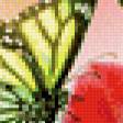 Предпросмотр схемы вышивки «бабочки и орхидеи» (№638044)
