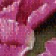 Предпросмотр схемы вышивки «цветы» (№638053)