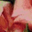 Предпросмотр схемы вышивки «розы и бабочки» (№638071)