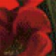 Предпросмотр схемы вышивки «красные тюльпаны» (№638316)