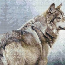 Оригинал схемы вышивки «Волк» (№638365)
