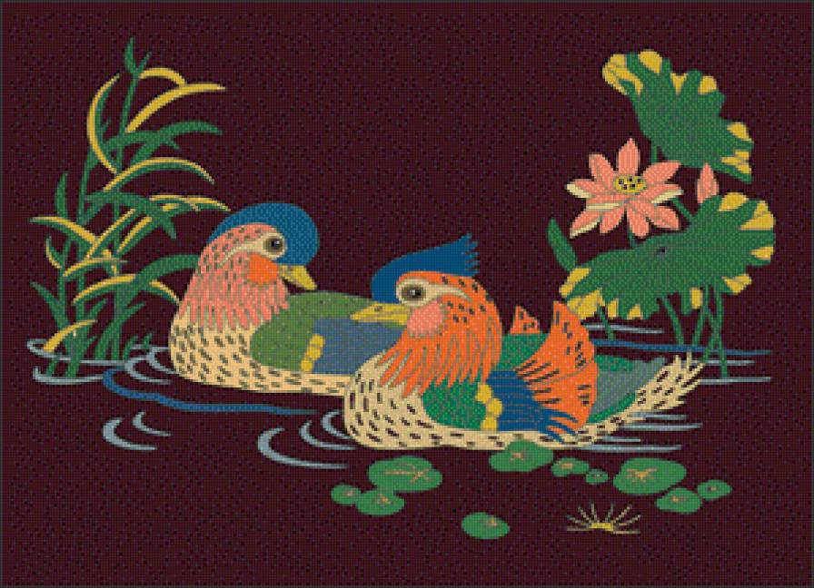 Утки-мандаринки - азия, птицы, лотосы, река - предпросмотр