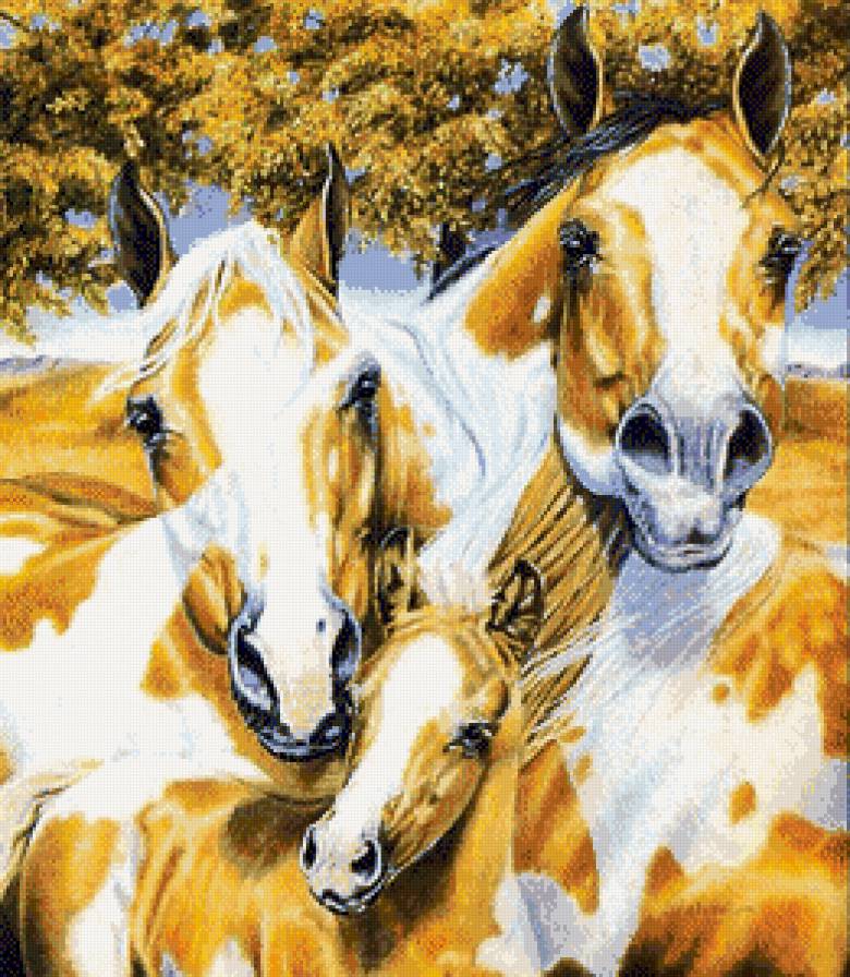 Лошадиная семья - природа, животные, семья, жеребенок, лошади, лошадки, кони - предпросмотр