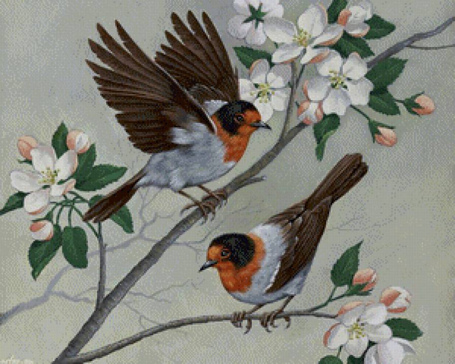 птицы на цветущей ветке - цветы, весна, натюрморт, яблоня, птицы, живопись - предпросмотр