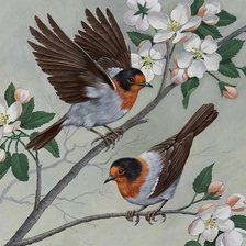 Оригинал схемы вышивки «птицы на цветущей ветке» (№639188)