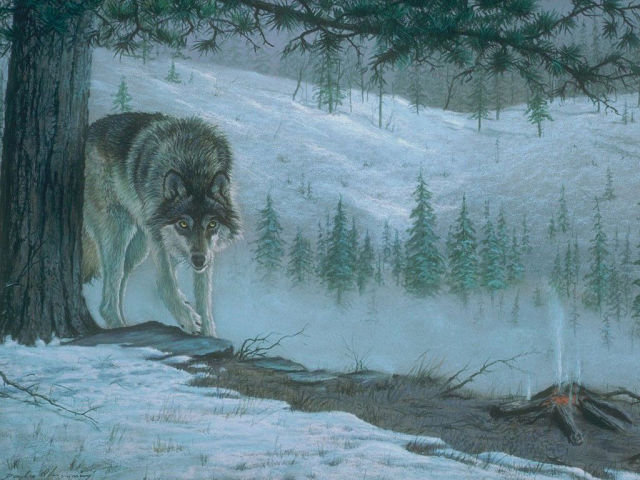 волк - волки - оригинал