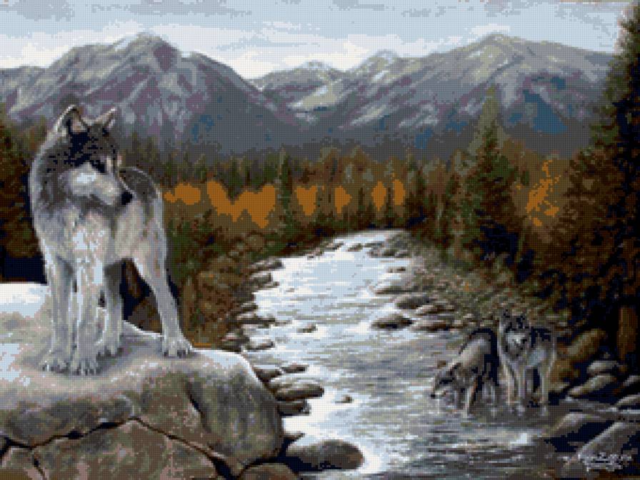 волки - лес, звери, природа, волки - предпросмотр