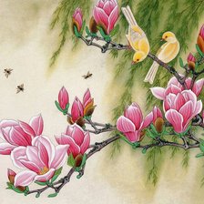 птички на цветущей ветке