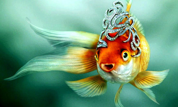 золотая рыбка - оригинал