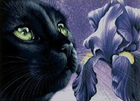 черный кот и ирис. - кот, ирисы, цветы - оригинал