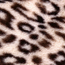 Схема вышивки «Шкура леопарда»