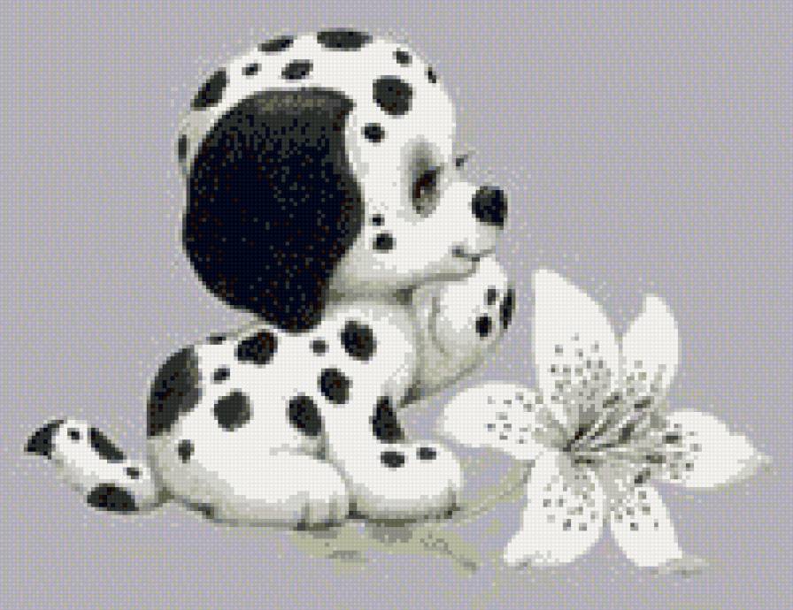 малыш - собака, цветок - предпросмотр