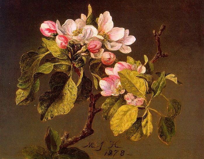 ветка цветущей яблони - живопись, цветы, ветка, яблоня - оригинал