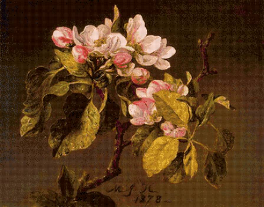 ветка цветущей яблони - цветы, яблоня, ветка, живопись - предпросмотр