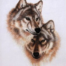 Оригинал схемы вышивки «волки» (№639992)