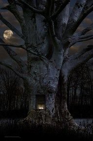 Лесное жилище - ночь пейзаж лес - оригинал