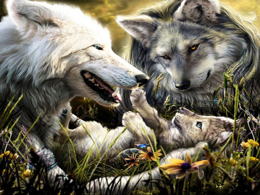 волки - волки, природа, животные - оригинал