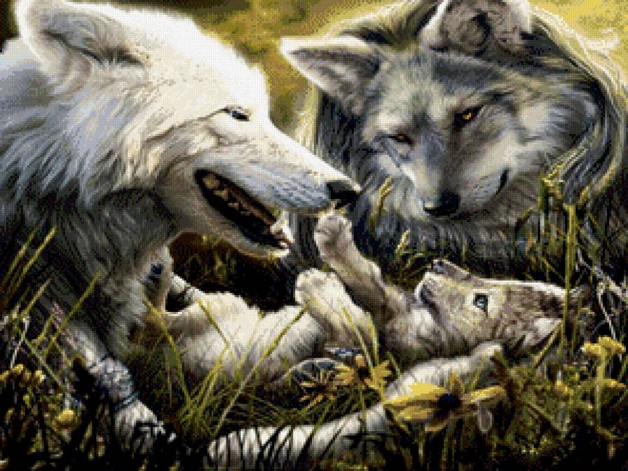 волки - природа, волки, животные - предпросмотр