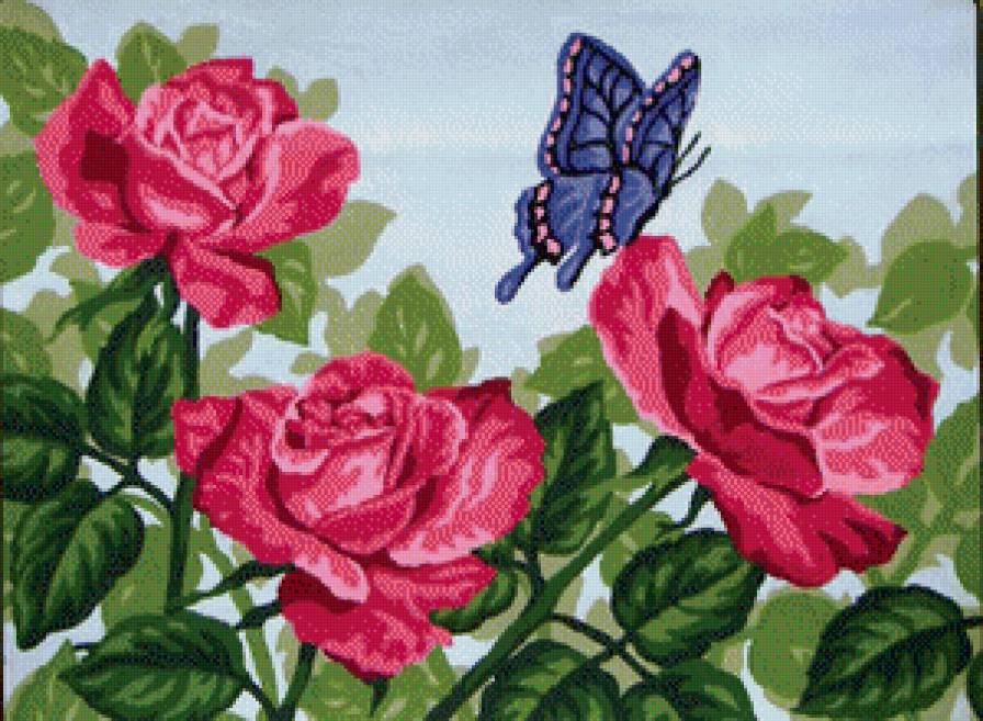 Бабочка и розы - бабочка, роза, цветы - предпросмотр