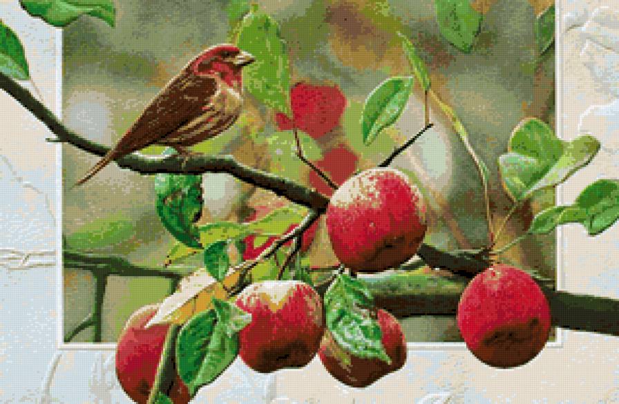 птица на ветке - яблоня, птица - предпросмотр