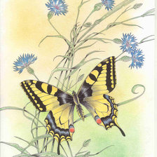 Схема вышивки «Васильки с бабочкой»