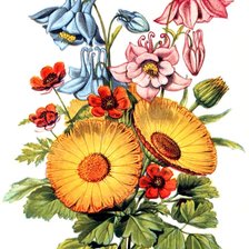 Оригинал схемы вышивки «букет летних цветов» (№640483)