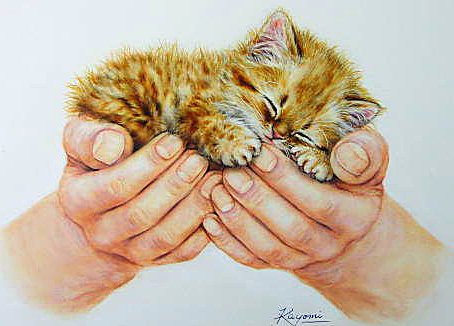Котенок - животные, руки, котята - оригинал