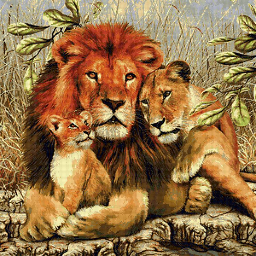 Семья львов - животные, с мамой, семья, природа, львы - предпросмотр