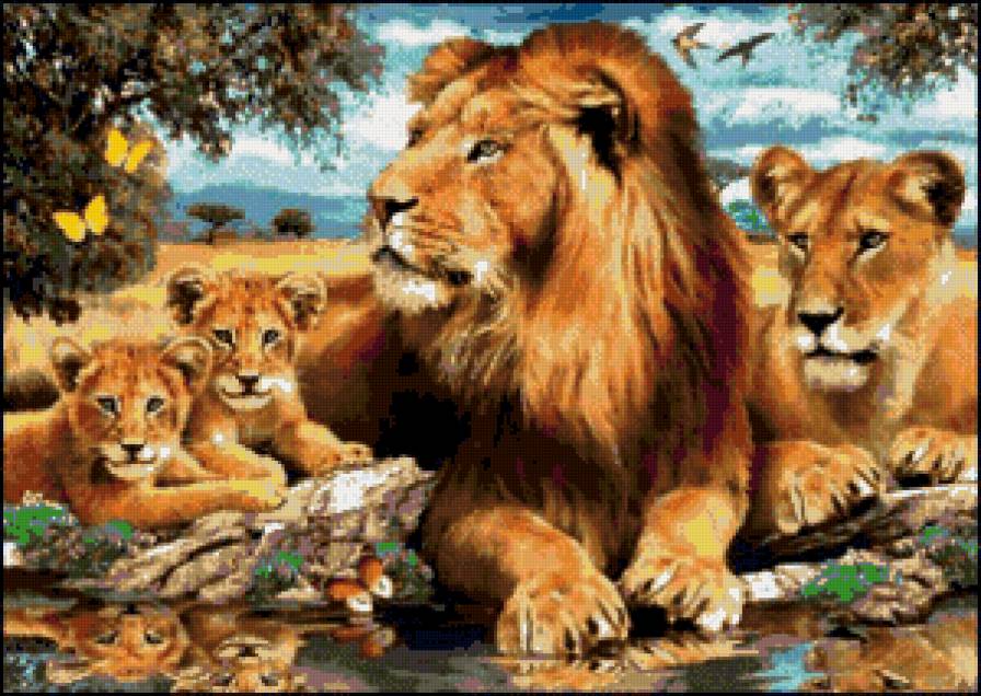 Милое семейство - семья, животные, природа, с мамой, львы - предпросмотр