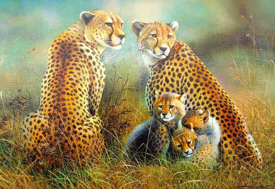 Милые кошечки - природа, животные, ягуары, с мамой, семья - оригинал
