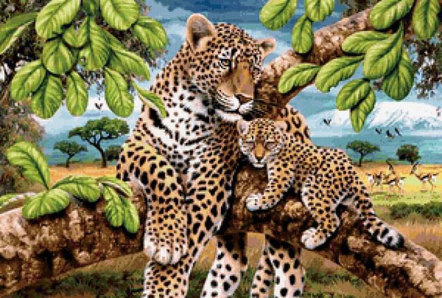Леопарды - животные, звери, семья, леопарды - оригинал