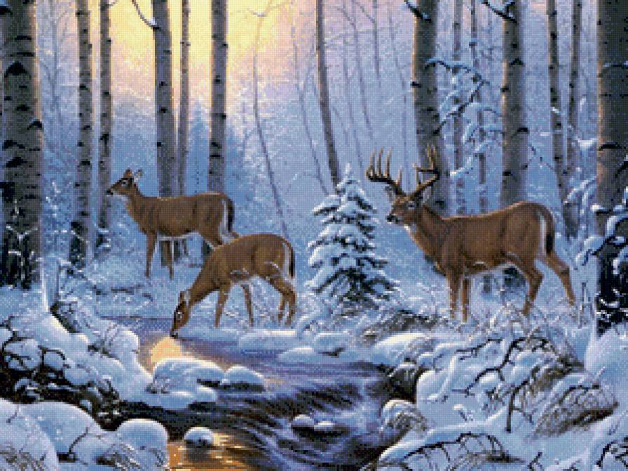 №641837 - олени, природа, ручей, пейзаж, снег, лес, зима, картина - предпросмотр
