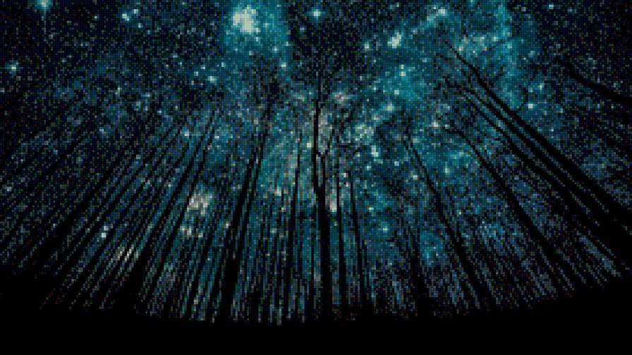 Ночной лес. - лес, звездное небо, ночь, звезды, пейзаж - предпросмотр
