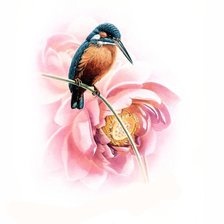 Оригинал схемы вышивки «птица на цветке» (№642932)