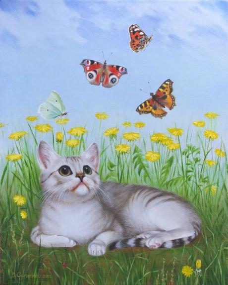 кот и бабочки - природа, кот, бабочки - оригинал