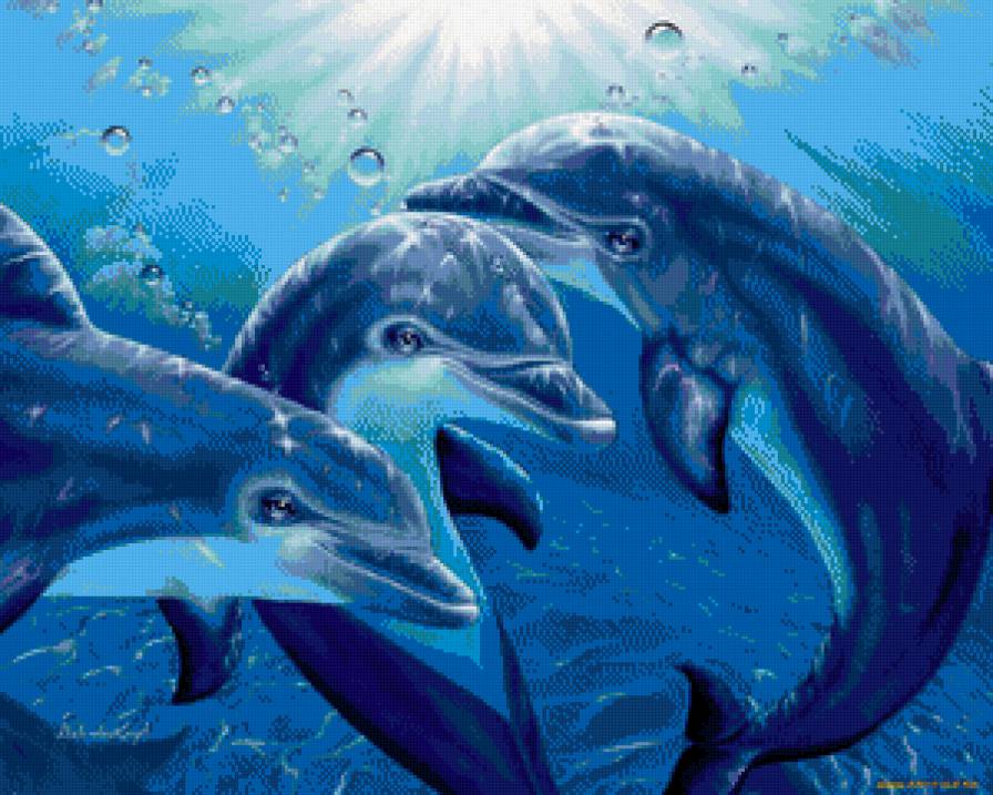 Дельфины - животные, море - предпросмотр