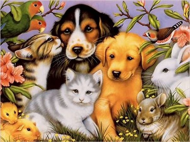 лучшие друзья - животные, кошки, птицы, собаки - оригинал
