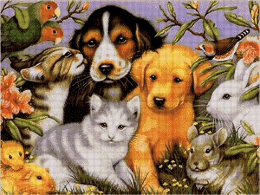 лучшие друзья - кошки, собаки, животные, птицы - предпросмотр