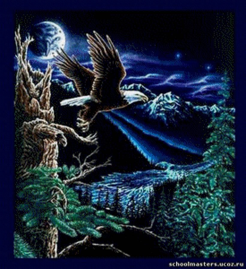 ночной полет орла - картина - предпросмотр