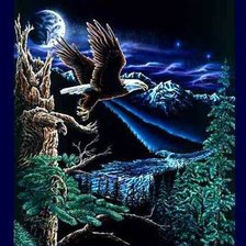 ночной полет орла