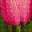 Предпросмотр схемы вышивки «tulipany» (№644468)