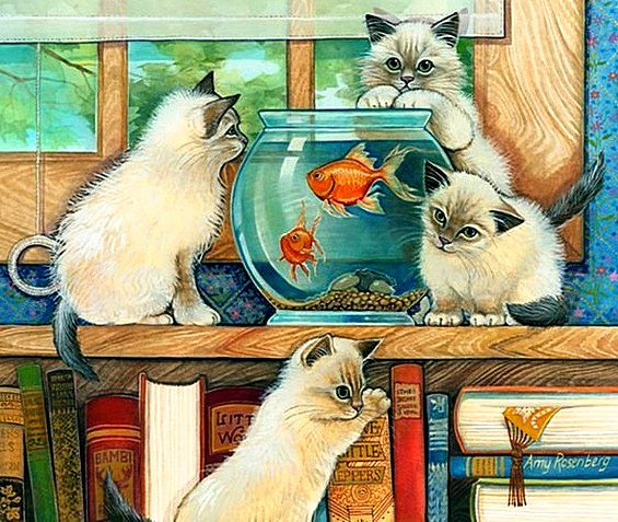 Милые малыши - аквариум, котята, животные, рыбки - оригинал