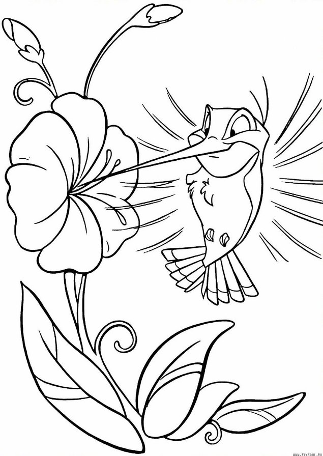 Колибри - птица, монохром, цветок - оригинал