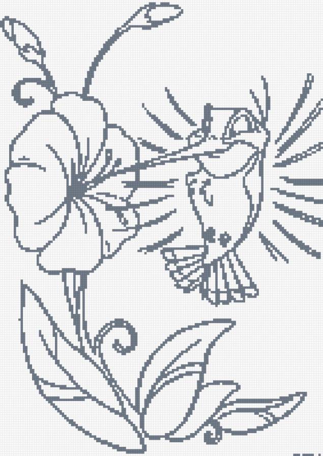 Колибри - монохром, птица, цветок - предпросмотр