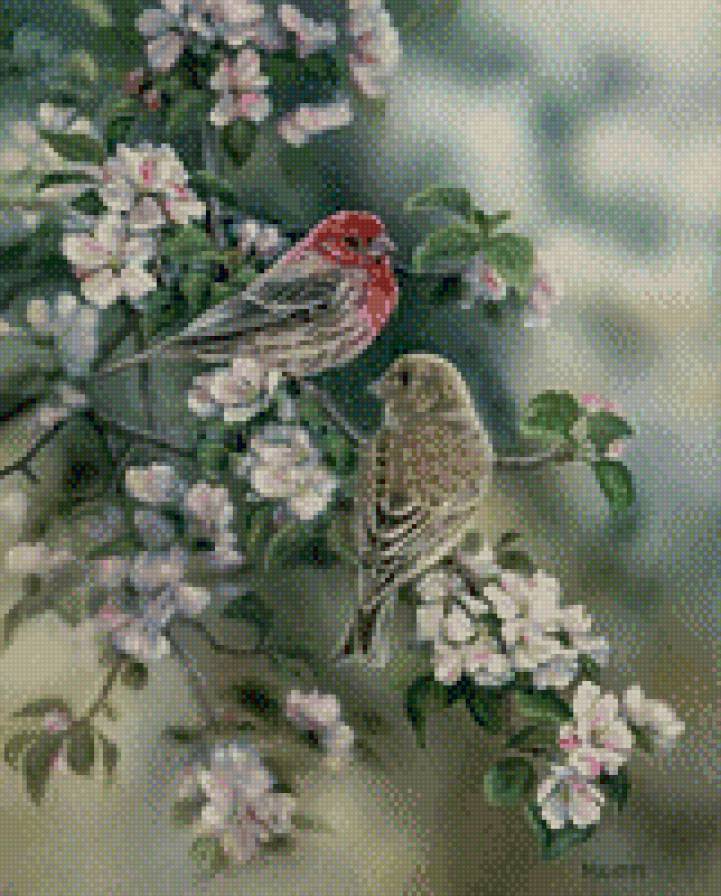 птицы в цветах - цветы, птицы - предпросмотр