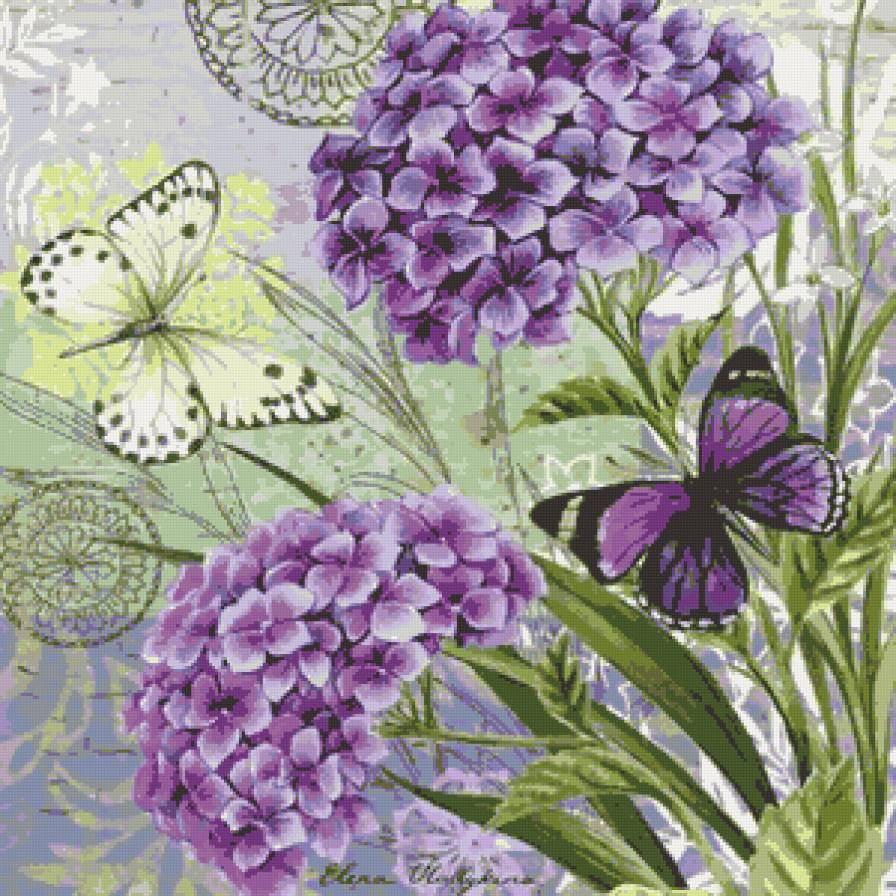 бабочки3 - букет, цветы, природа - оригинал