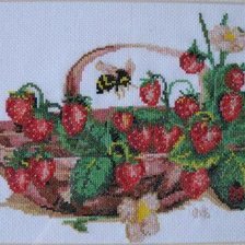 Оригинал схемы вышивки «клубника и пчела» (№648095)