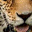 Предпросмотр схемы вышивки «игривый леопард» (№648229)